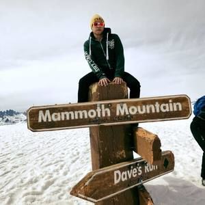 Meet your Posher, Joey